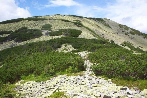 Image - Mount Popadia in the Gorgany Mountains.